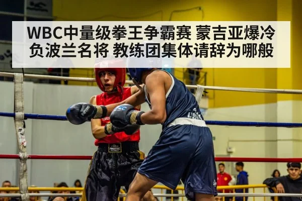 WBC中量级拳王争霸赛 蒙吉亚爆冷负波兰名将 教练团集体请辞为哪般